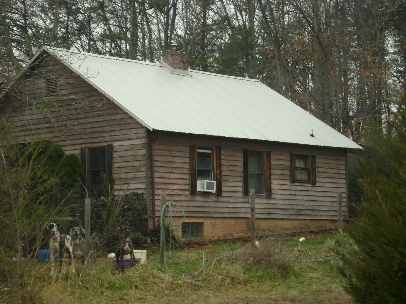 White metal roof on an old wood sided farmhouse, from a Asphalt Shingle Roof Repair job in Bowling Green